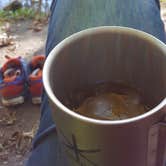 Review photo of Charles A. Lindbergh State Park Campground by ERolf P., September 23, 2016