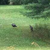 Review photo of Lake Macbride State Park Campground by Terri R., August 1, 2019