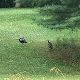 Review photo of Lake Macbride State Park Campground by Terri R., August 1, 2019