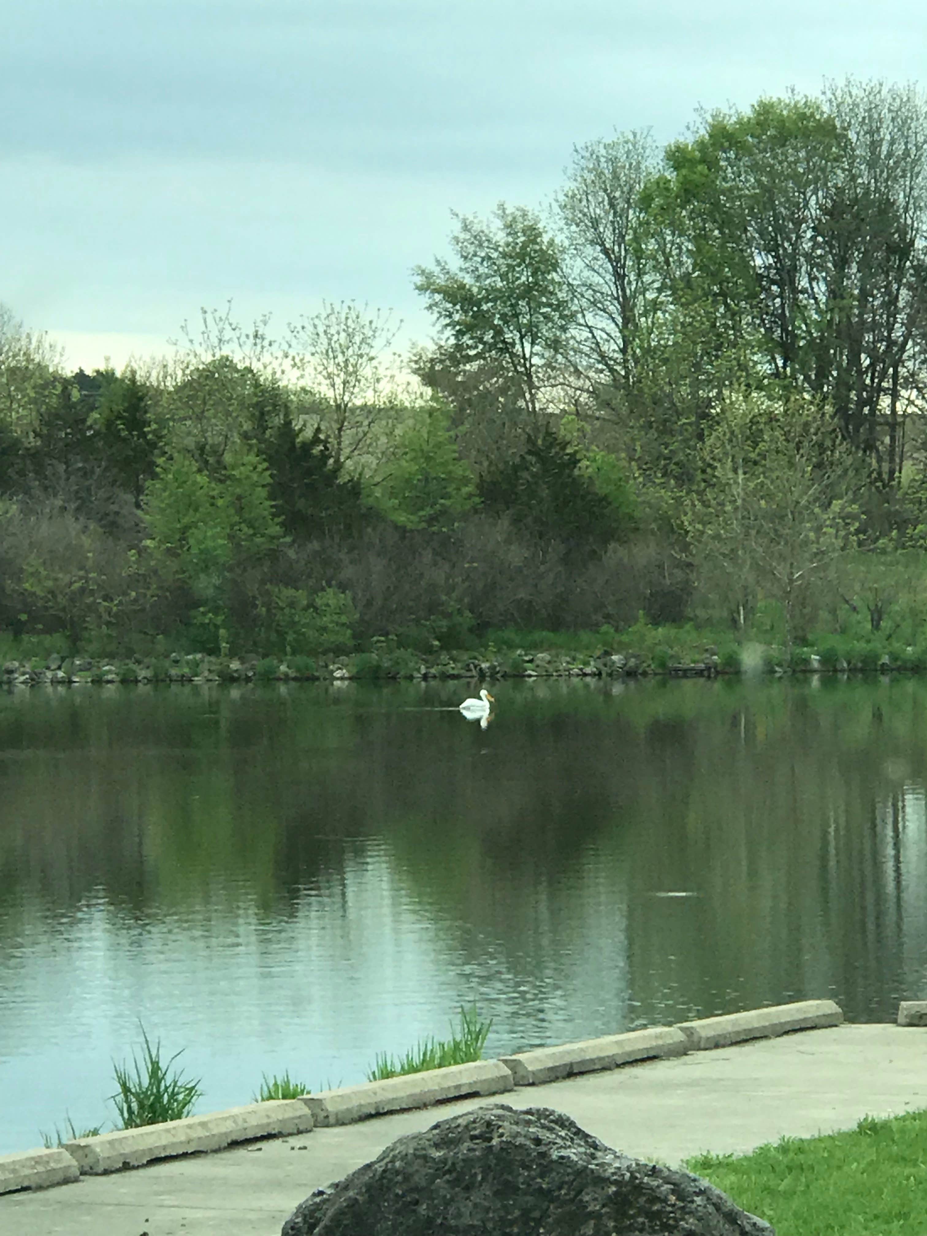 Camper-submitted photo at Modern North Campground — Lake Macbride State Park near Homestead, IA