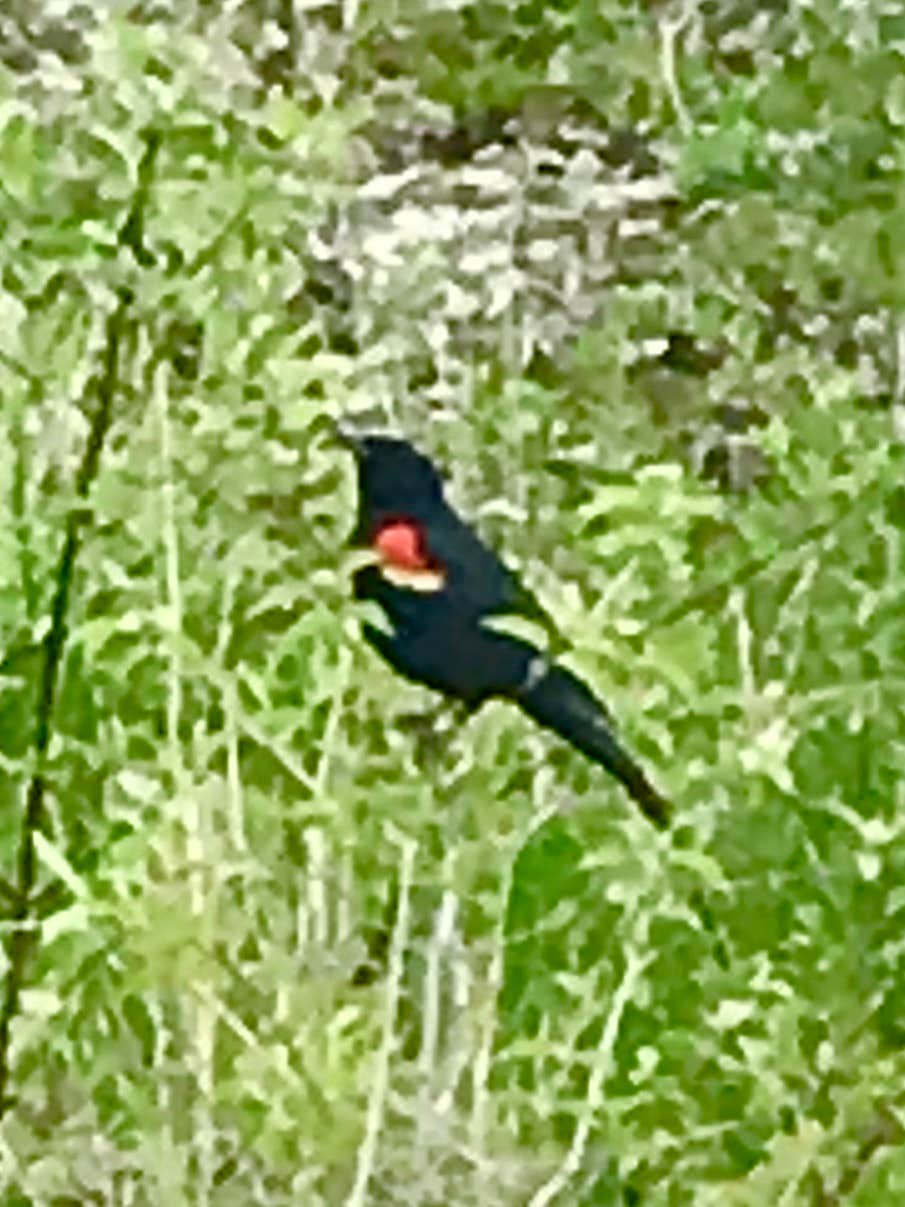 Camper-submitted photo at Modern North Campground — Lake Macbride State Park near Homestead, IA