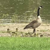 Review photo of Lake Macbride State Park Campground by Terri R., August 1, 2019