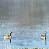 Review photo of Lake Macbride State Park Campground by Terri R., August 1, 2019