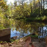 Review photo of Charles A. Lindbergh State Park Campground by ERolf P., September 23, 2016