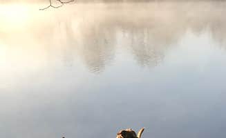 Terri R.'s photo of camping with pets at Modern North Campground — Lake Macbride State Park near Conesville, IA