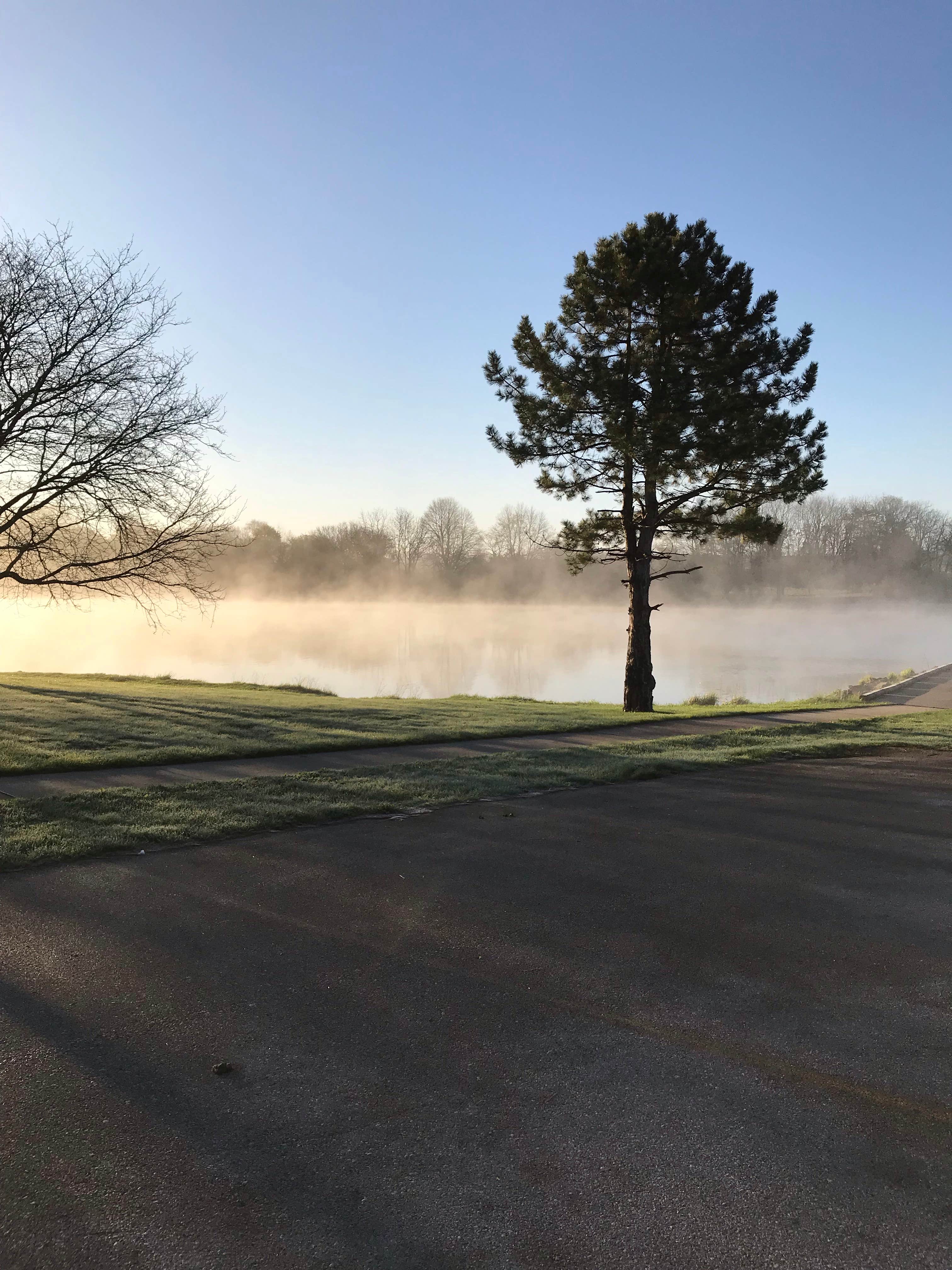 Camper submitted image from Lake Macbride State Park Campground - 5