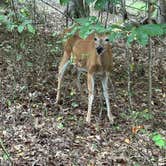 Review photo of Breaks Interstate Park Campground by Carol J., August 30, 2025