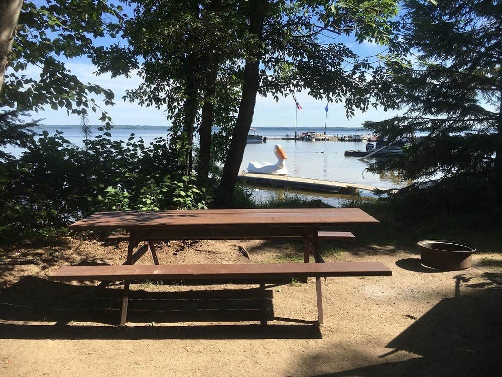 Camper submitted image from Cabin O' Pines Resort - 1