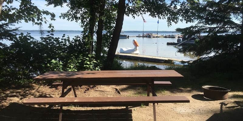 Camper submitted image from Cabin O' Pines Resort