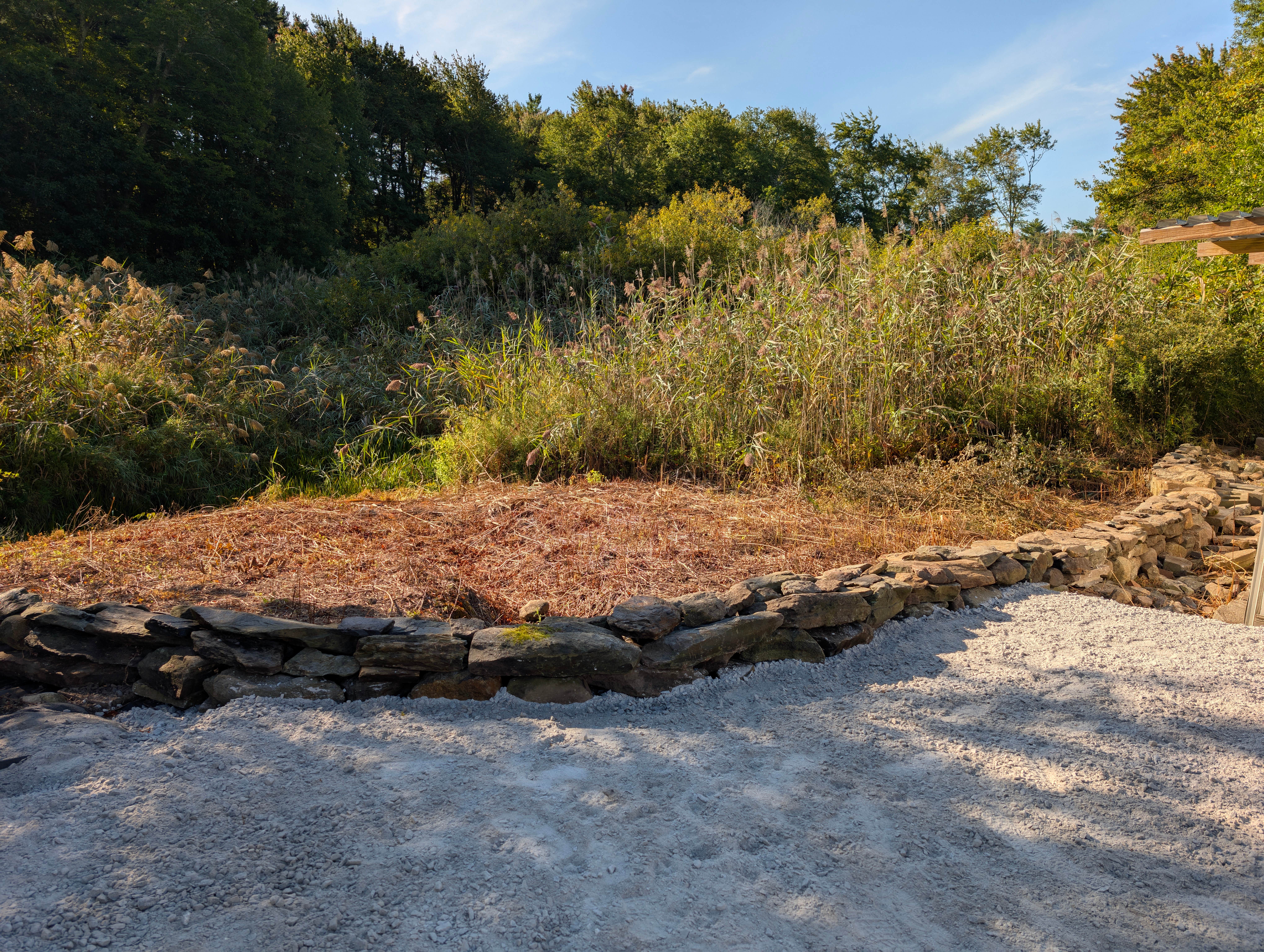 Camping near Sea Coast Camping and RV Resort: Beaver Creek Farm, Salisbury, Massachusetts