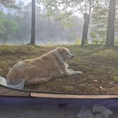 Review photo of Upper East Branch Campsite — Katahdin Woods And Waters National Monument by Dustin W., September 14, 2025