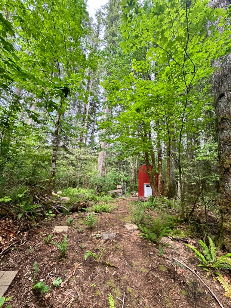 Camping near Heybrook Lookout: Wild Sky - Private Forest Camping, Skykomish, Washington