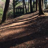 Review photo of New Germany State Park Campground by Jillian K., August 1, 2019