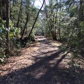 Review photo of New Germany State Park Campground by Jillian K., August 1, 2019