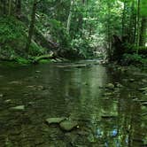 Review photo of Savage River State Forest by Jillian K., August 1, 2019
