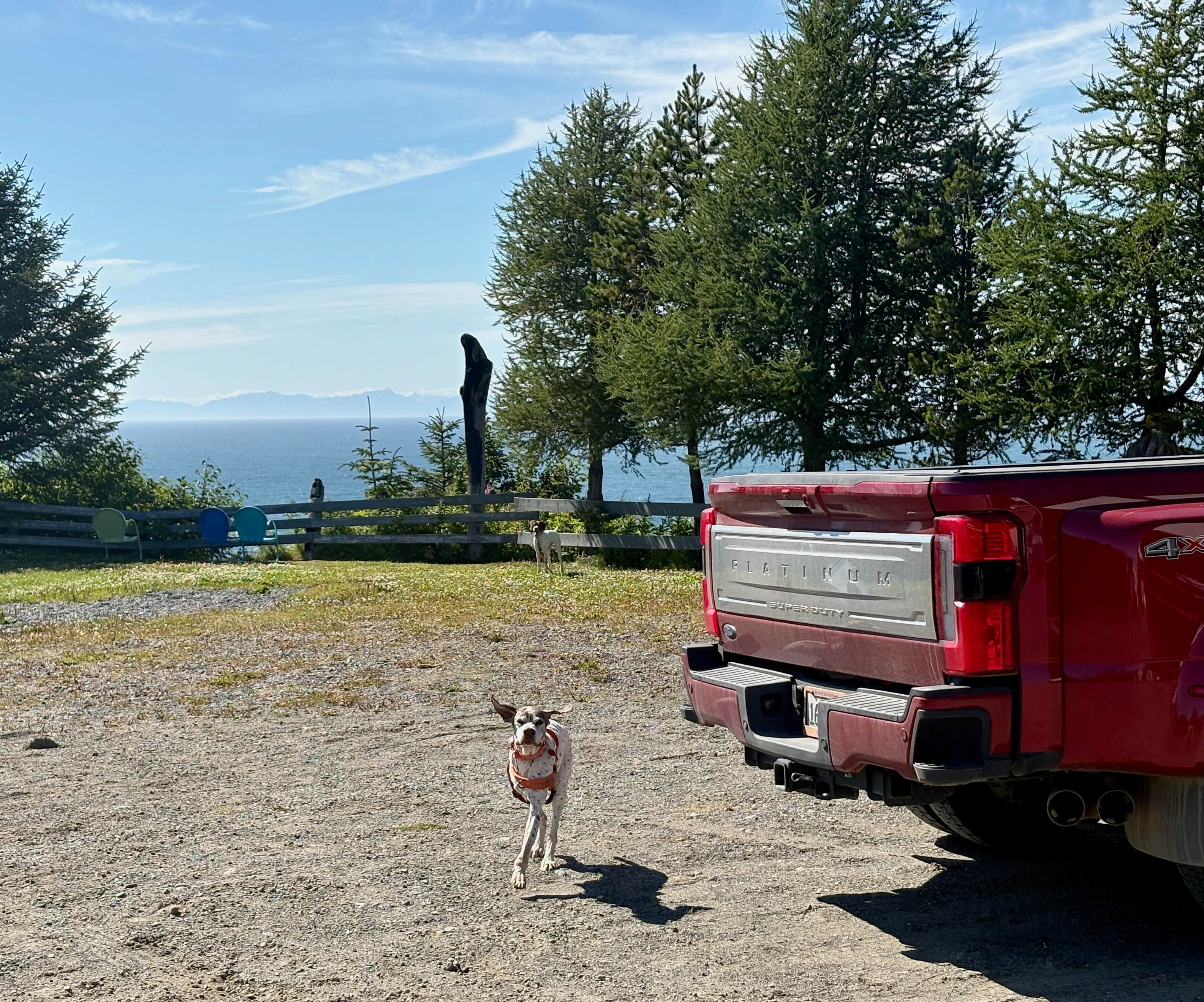 MickandKarla W.'s photo of camping with pets at Whiskey Point Cabins & RV Park near Homer, AK