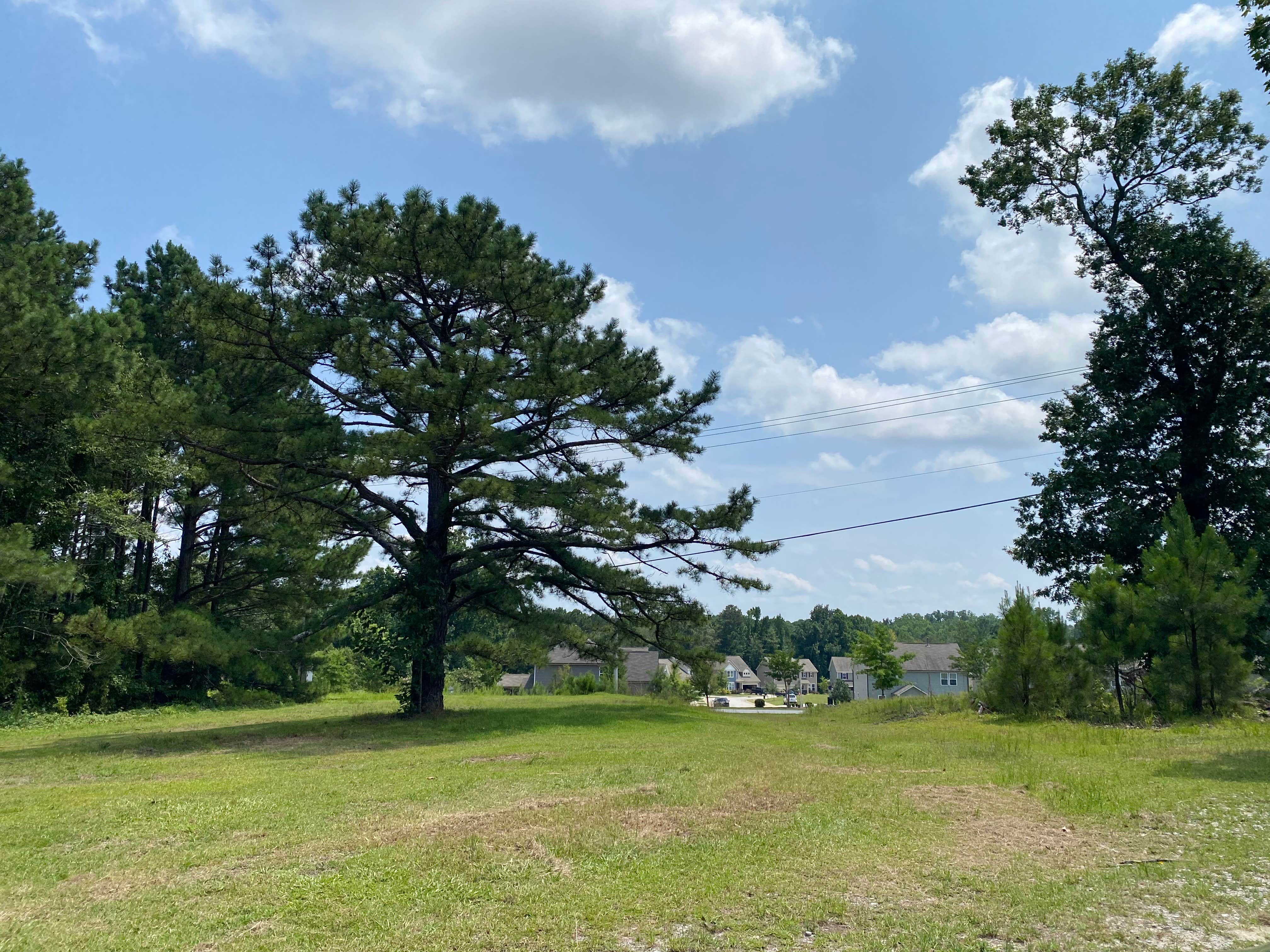 Camper-submitted photo at Phelps West near Raleigh, NC