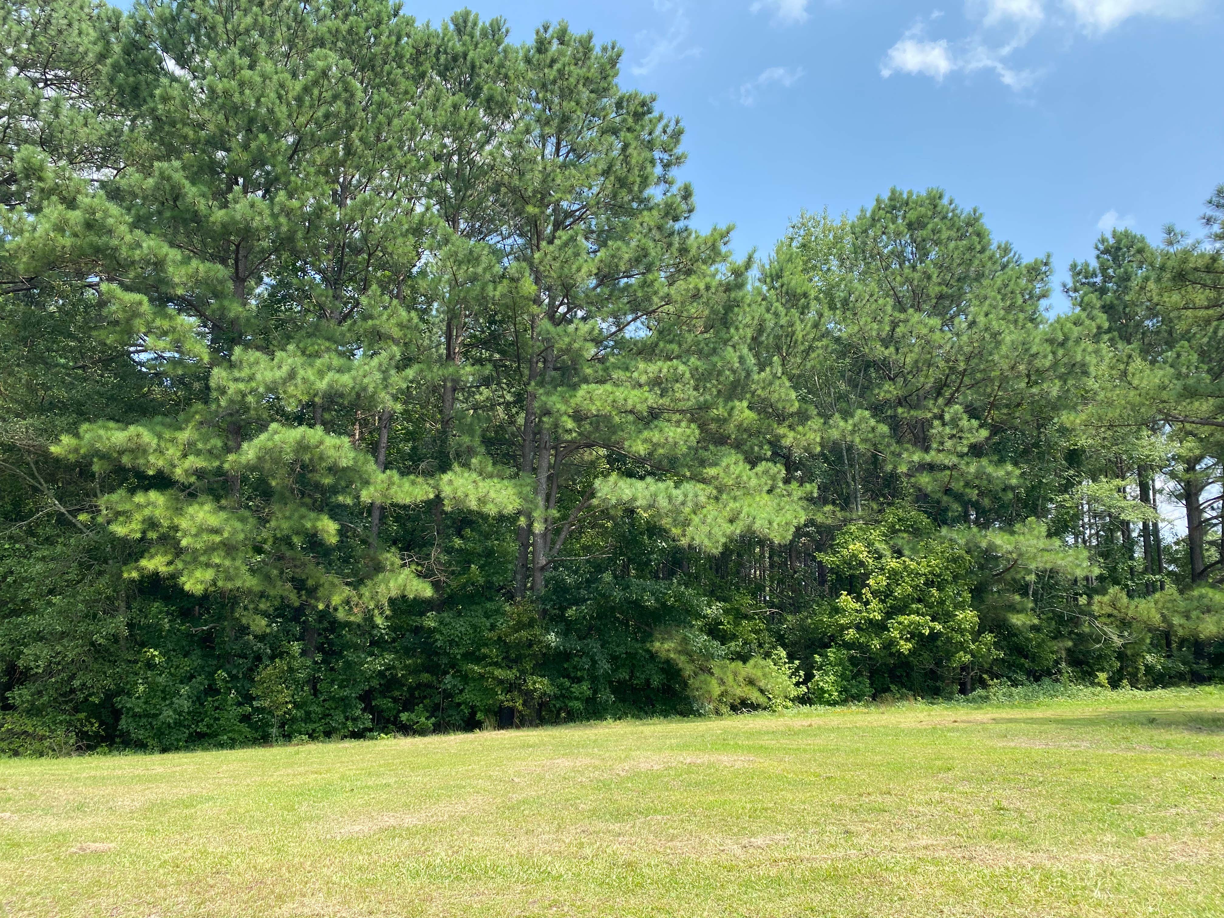 Camper-submitted photo at Phelps West near Raleigh, NC