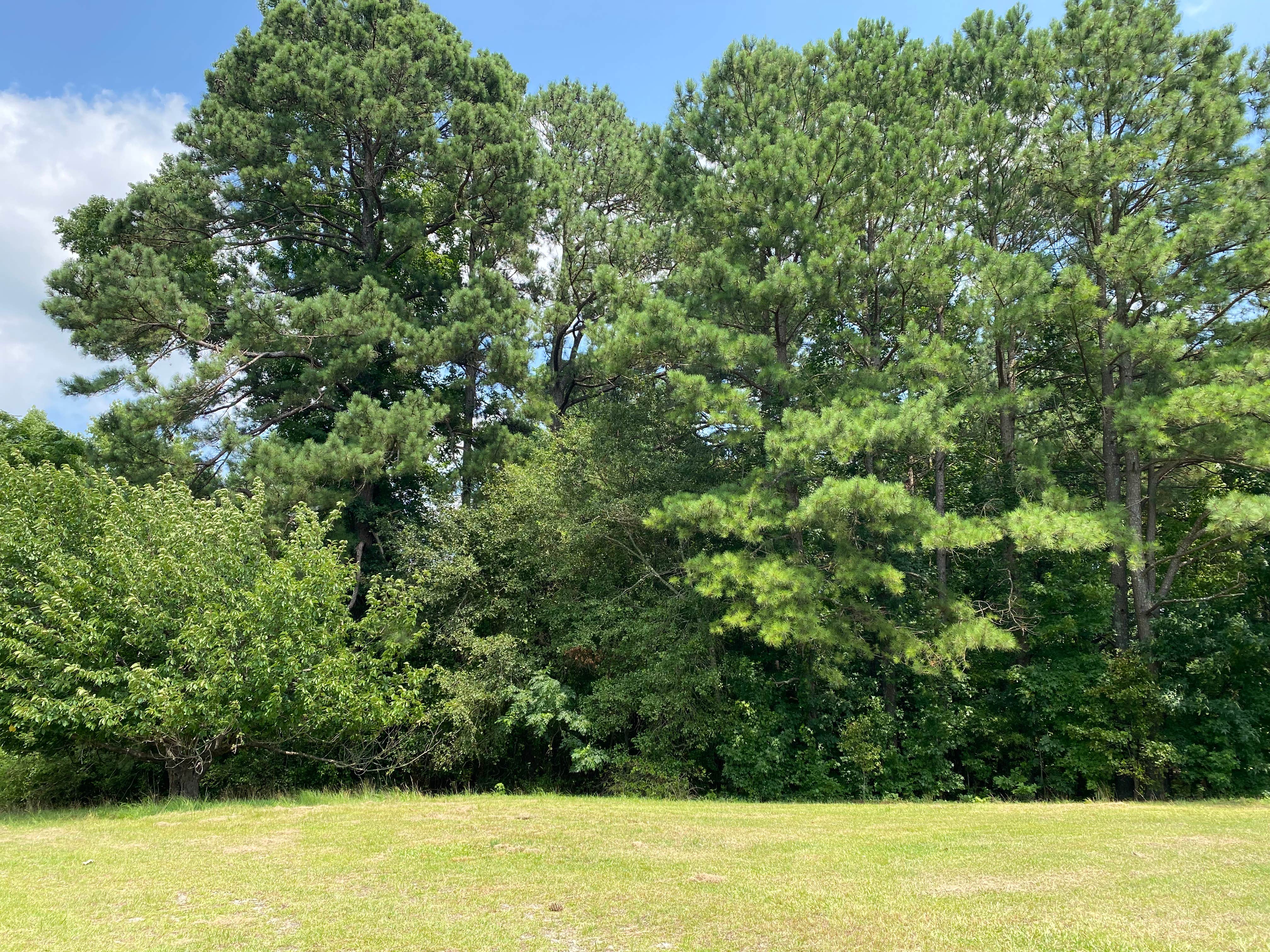 Camper-submitted photo at Phelps West near Raleigh, NC