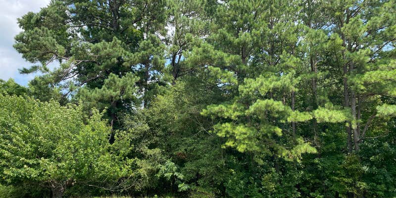 Camper submitted image from Phelps West