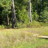 Review photo of B.W. Wells — Falls Lake State Recreation Area by Maria Mercedes M., September 14, 2025