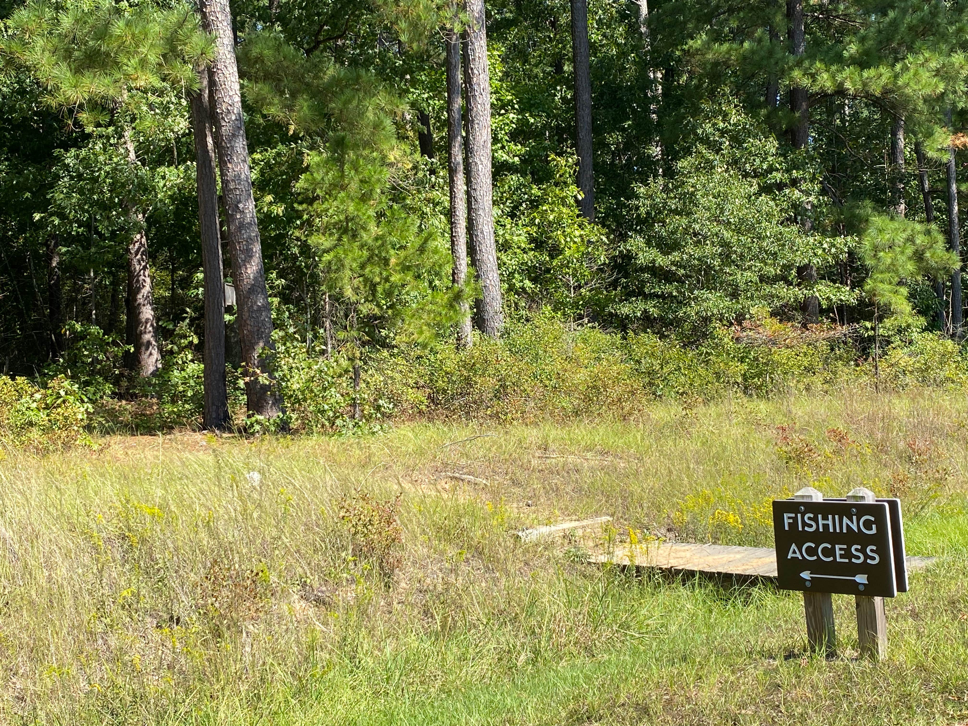 Camper submitted image from B.W. Wells — Falls Lake State Recreation Area - 3