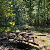 Review photo of B.W. Wells — Falls Lake State Recreation Area by Maria Mercedes M., September 14, 2025