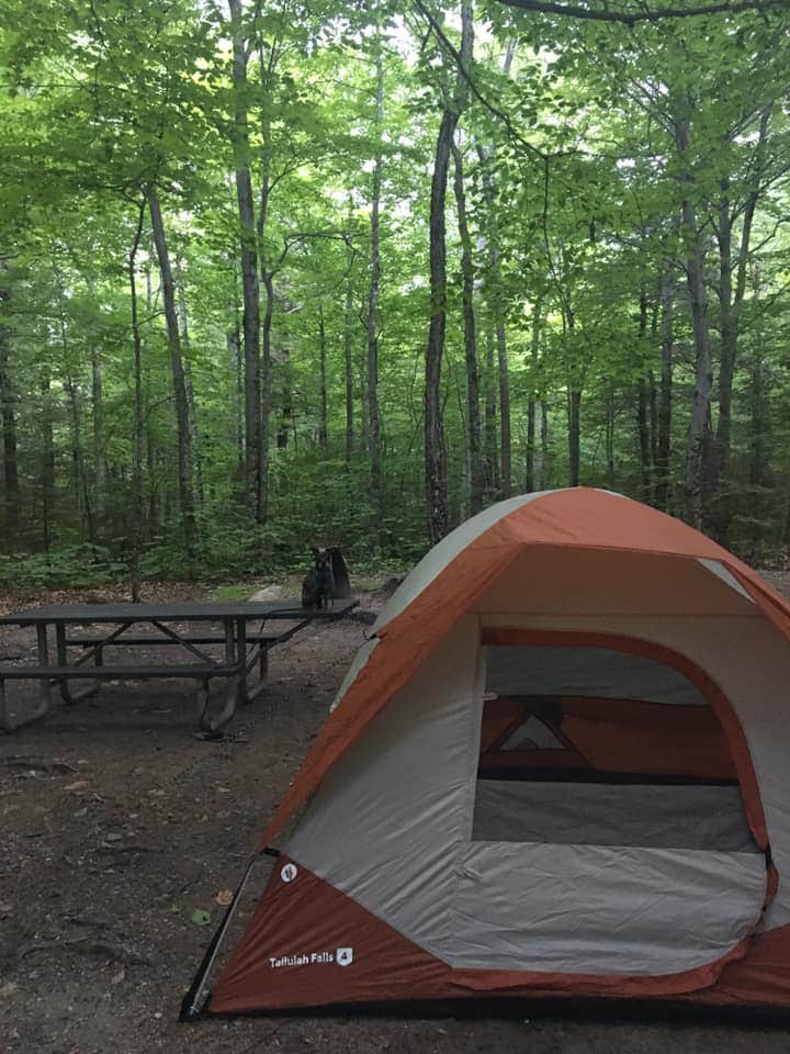 kelsy A.'s photo at Dry River Campground — Crawford Notch State Park near Jackson, NH