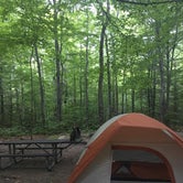 Review photo of Dry River Campground by kelsy A., August 1, 2019