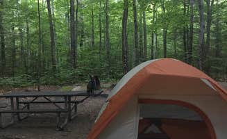 kelsy A.'s photo at Dry River Campground — Crawford Notch State Park near Jackson, NH