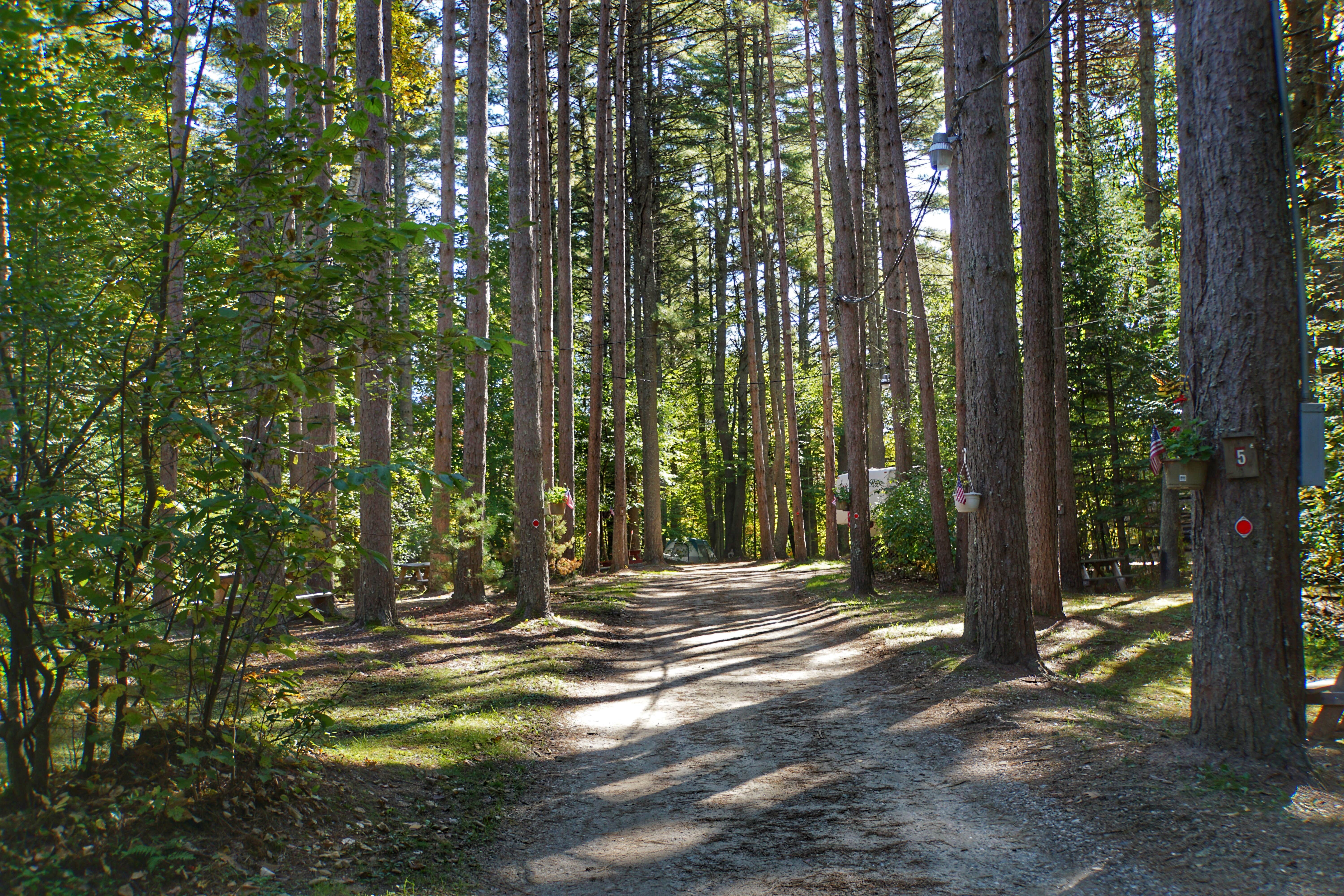 Camper-submitted photo at Desert of Maine Campground near Cumberland Center, ME
