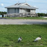 Review photo of Sebastian Inlet State Park Campground by Phyllis H U., August 1, 2019