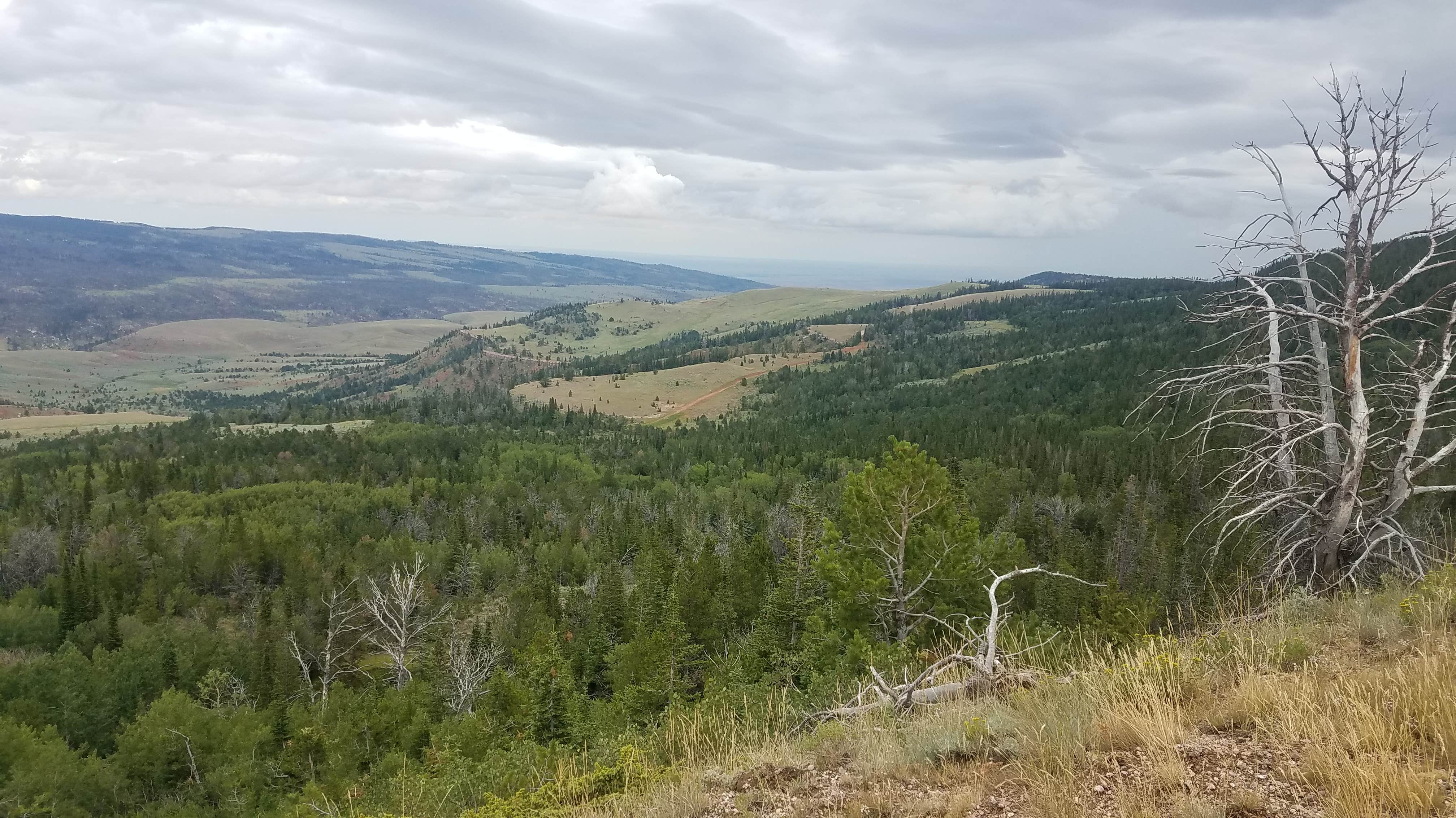 Camper-submitted photo at Rim Campground near Mills, WY