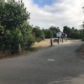 Review photo of San Mateo Campground — San Onofre State Beach by Nolan S., August 1, 2019