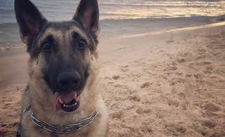 Caitlyn H.'s photo of camping with pets at Cedar Campground — Ludington State Park near Free Soil, MI