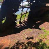 Review photo of Cedar Campground — Ludington State Park by Caitlyn H., August 1, 2019