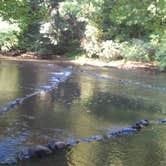 Review photo of Mohican State Park Campground by Wesley S., September 23, 2016