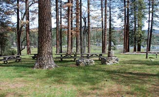LAUREN H.'s photo of camping with pets at Recreation Point Group Campground near Bass Lake, CA