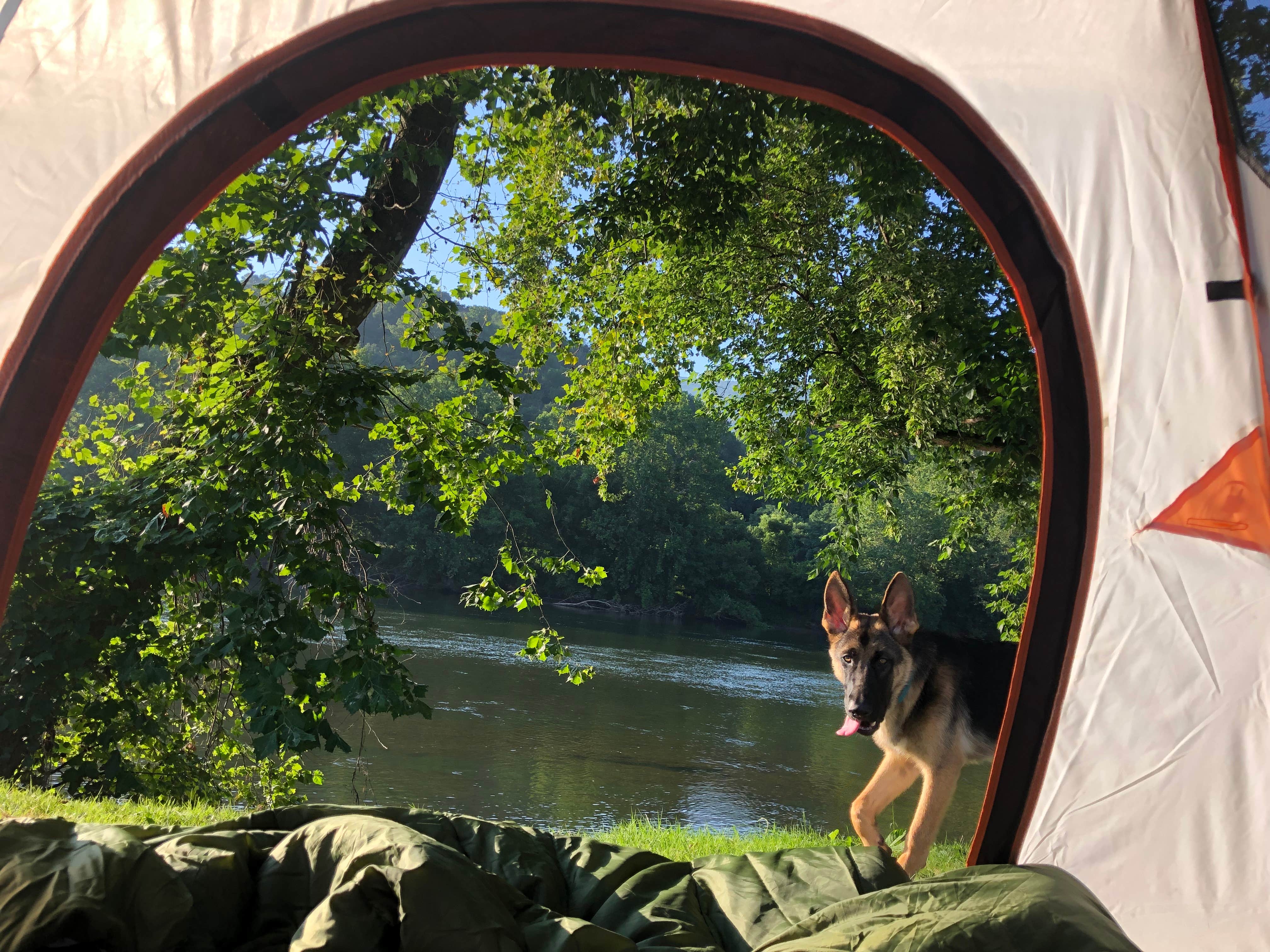 Camper-submitted photo at Gentrys Landing near Pearisburg, VA