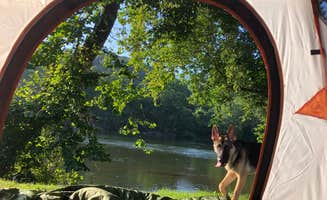 Juan R.'s photo of camping with pets at Gentrys Landing near Ripplemead, VA