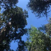 Review photo of Sequoia National Forest Belknap Campground by Vicky  D., August 1, 2019