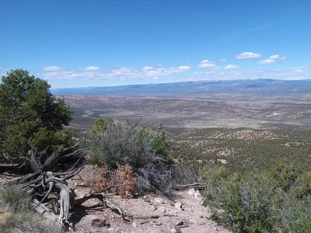 Camping near Black Shadow Campground: High Country RV Park, Nucla, Colorado