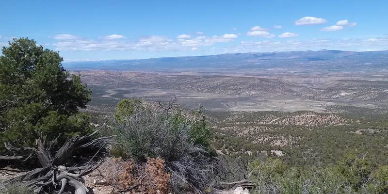 Camper submitted image from High Country RV Park