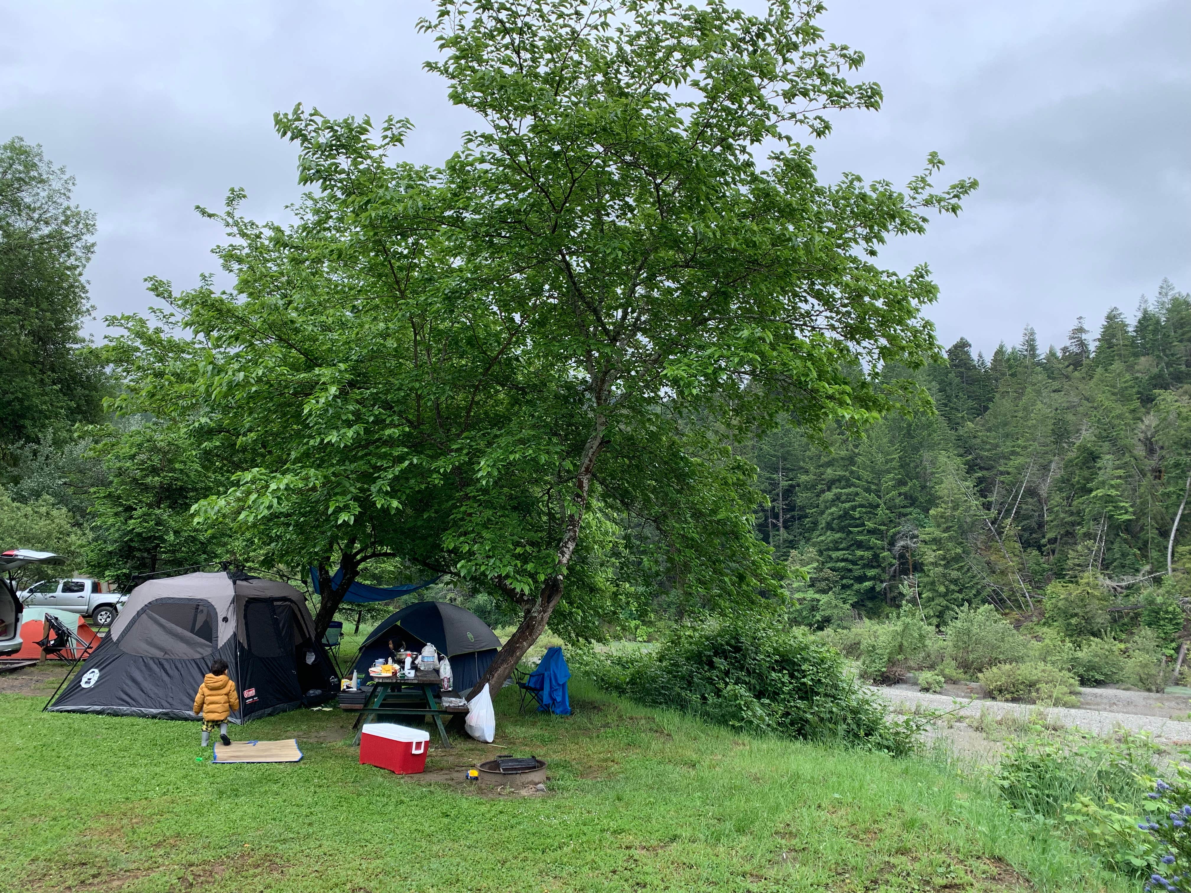 Aldy Y.'s photo at Giant Redwoods RV & Cabin Destination near King Range National Conservation Area