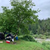 Review photo of Giant Redwoods RV & Cabin Destination by Aldy Y., August 1, 2019