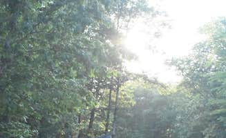 Mark A.'s photo of a cabin at Bentley’s saloon and campground near Newburyport, MA