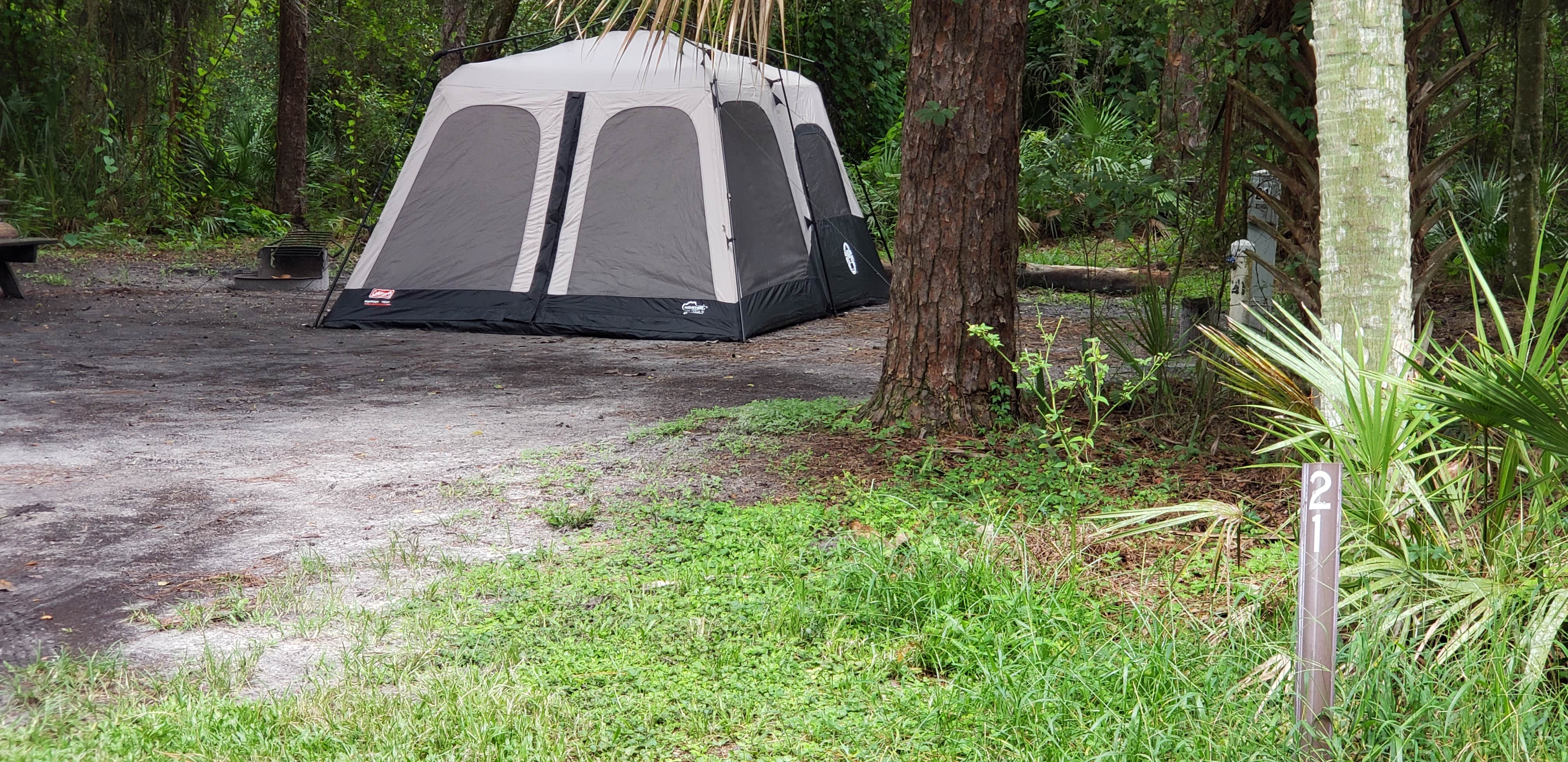 Jeanene A.'s photo at Hillsborough River State Park Campground near Thonotosassa, FL