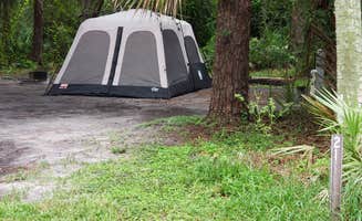 Jeanene A.'s photo at Hillsborough River State Park Campground near Temple Terrace, FL