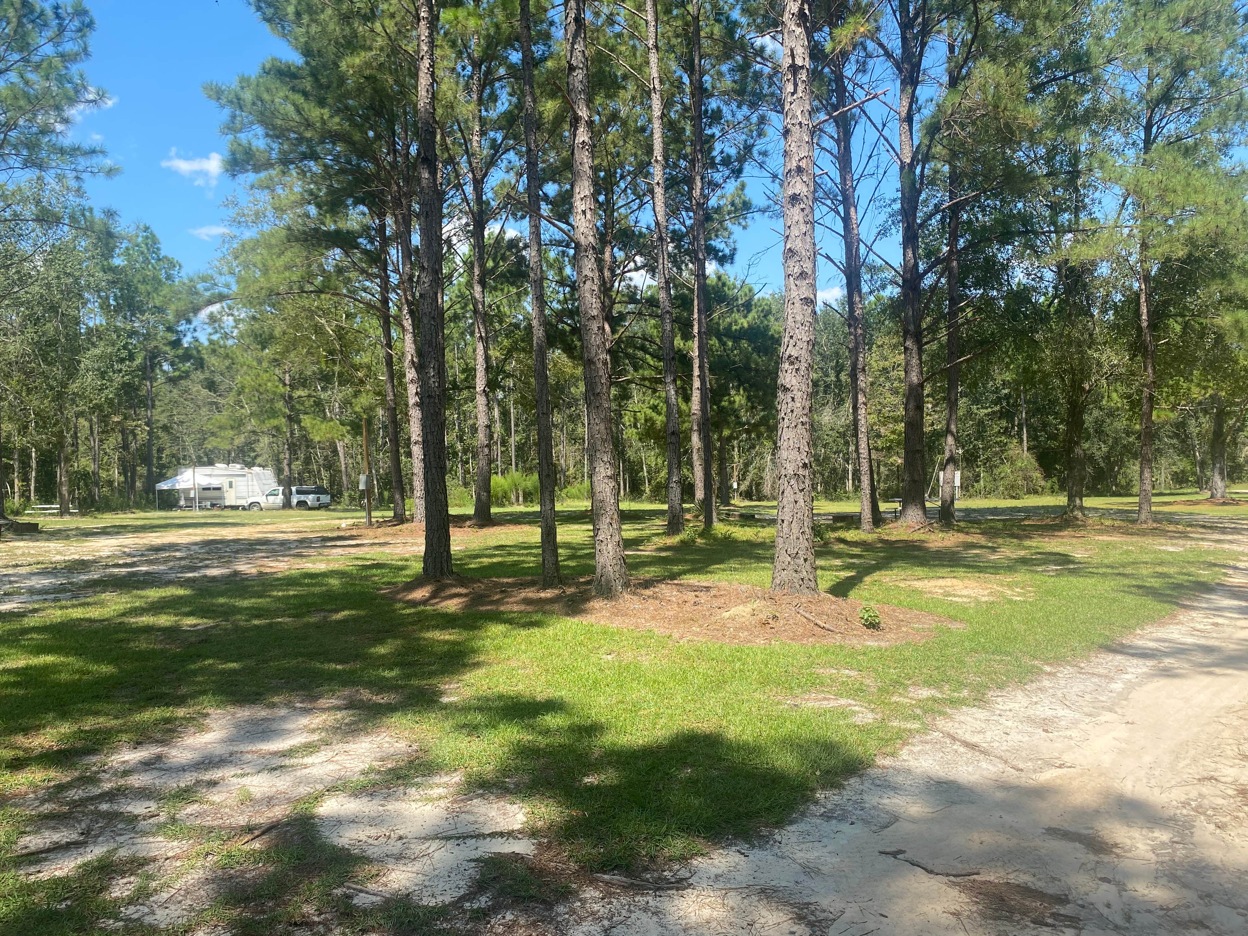 Camper-submitted photo at Shady Pines RV Park near Hazlehurst, GA