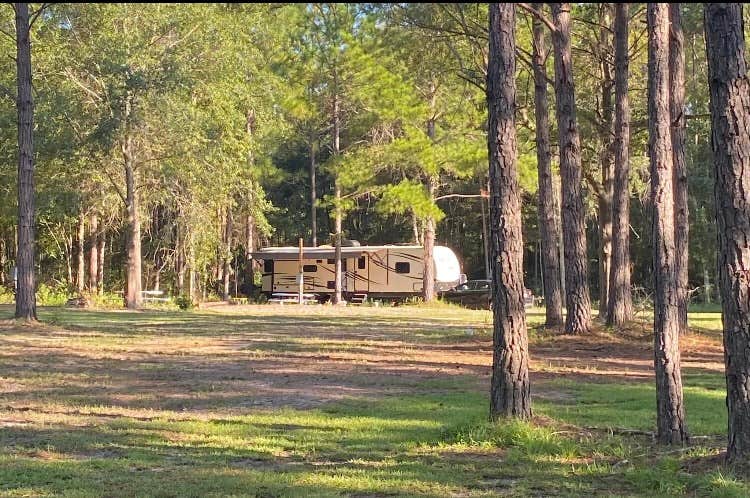 Camper-submitted photo at Shady Pines RV Park near Hazlehurst, GA